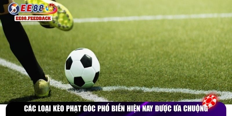 Các loại kèo phạt góc phổ biến hiện nay được ưa chuộng